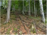 Ridovc / Ridovcsäge - Koschutnikturm (Košutnikov turn)